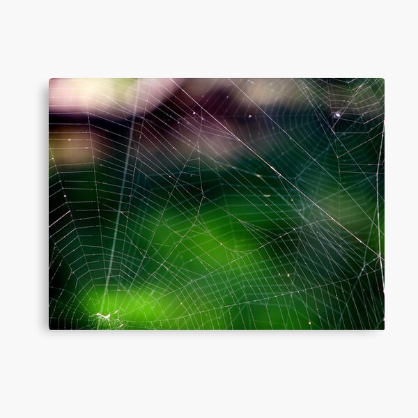 Neighbours Canvas Print