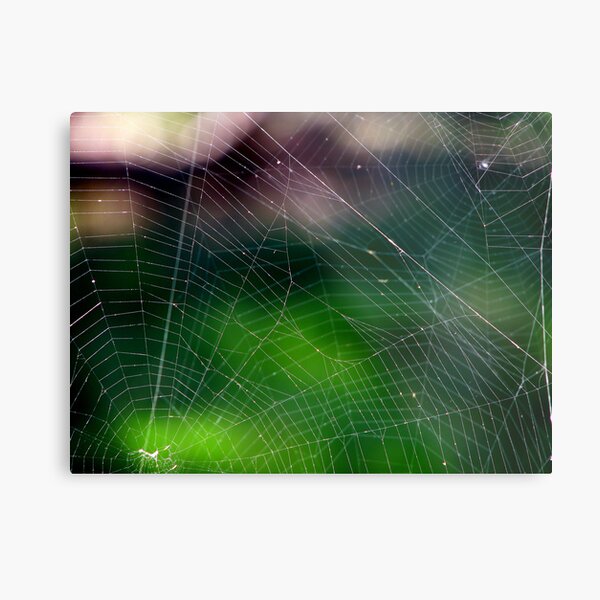 Neighbours Metal Print