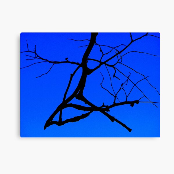 Black and Blu 2 Canvas Print