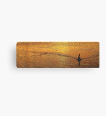 Wake - Narrabeen Lakes, Sydney Beaches Sydney Australia Canvas Print