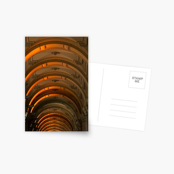 Bathed in Light Postcard