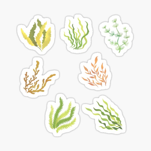 Item preview, Natural Seaweed Pattern designed and sold by Best Pattern⭐⭐⭐⭐⭐.