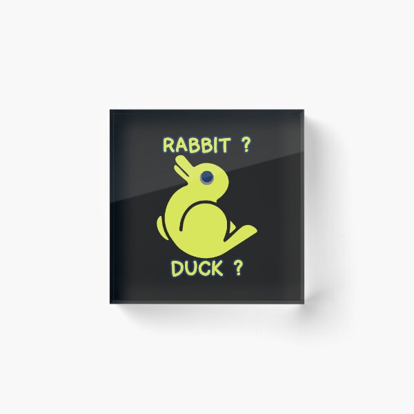 Rabbit Duck Cute Animal Acrylic Block