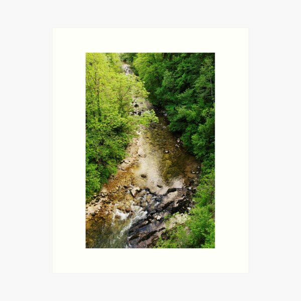 From above Art Print
