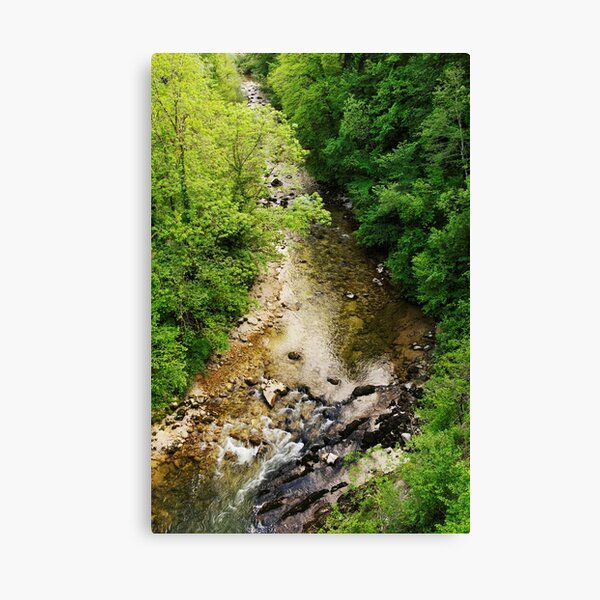 From above Canvas Print