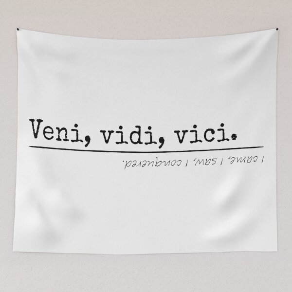 Item preview, I came, I saw, I conquered - Latin - T-Shirts, Stickers, Magnets, House - VBK - VisionsByKaren designed and sold by VisionsByKaren.