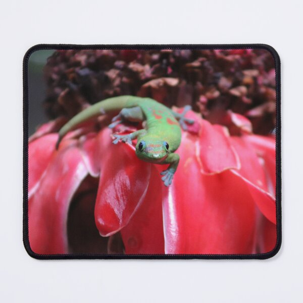 Item preview, Lounging Lizard designed and sold by GremlinGalArt.
