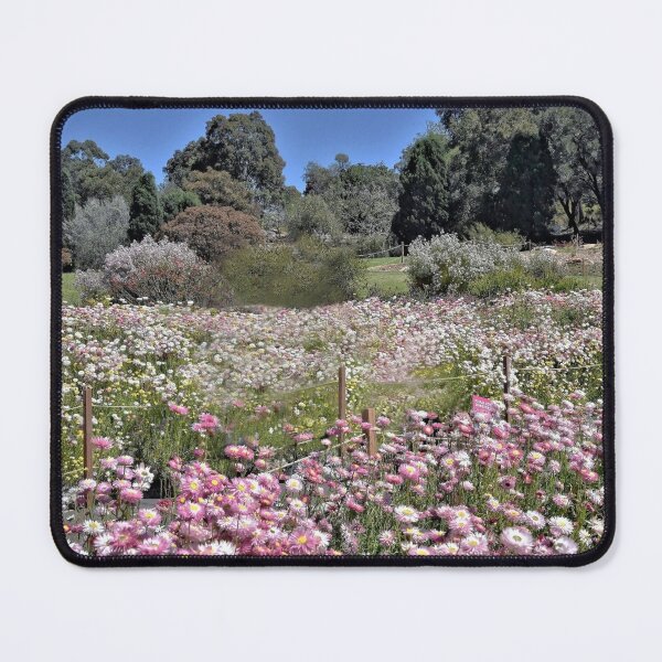Item preview, Paper Daisies designed and sold by Josette Halls.