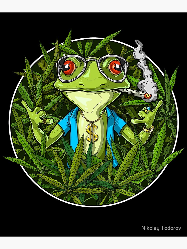  Weed Gift Pot And Cannabis Marijuana Frog Smog Gift