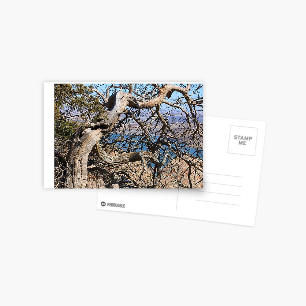 Item preview, Postcard designed and sold by OmensRest.