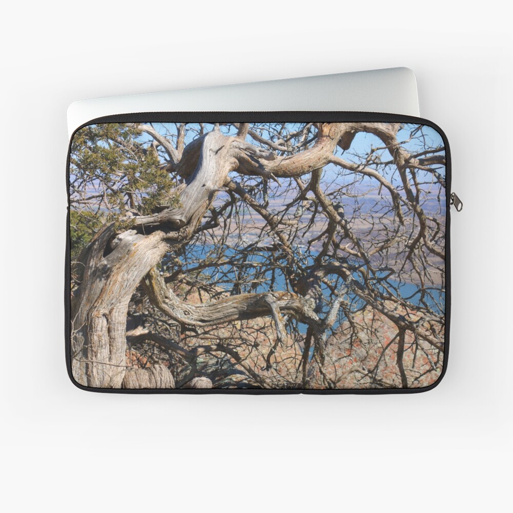 Item preview, Laptop Sleeve designed and sold by OmensRest.