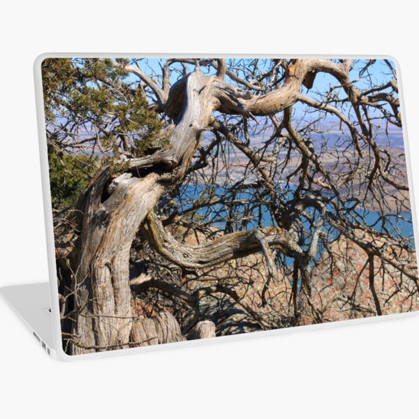 Twisted Trees Laptop Skin