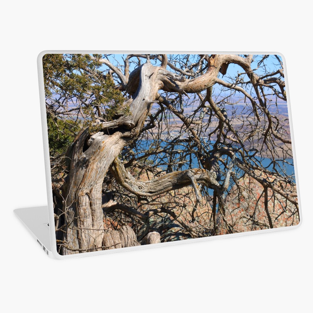 Item preview, Laptop Skin designed and sold by OmensRest.