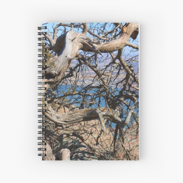 Twisted Trees Spiral Notebook