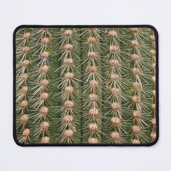 Item preview, Cactus close up designed and sold by steveball.