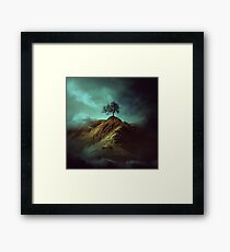 Lonely tree Framed Print