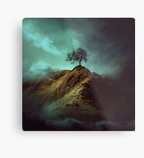 Lonely tree Metal Print