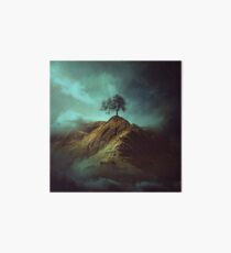Lonely tree Art Board