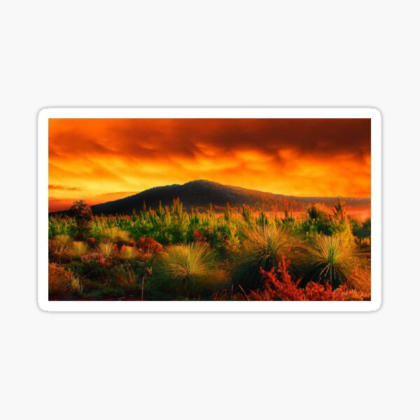 Fire In The Sky Sticker