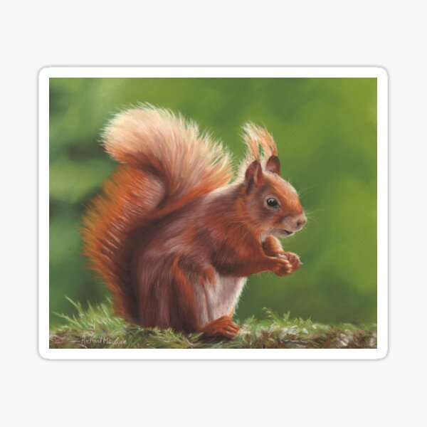 Red Squirrel Sticker