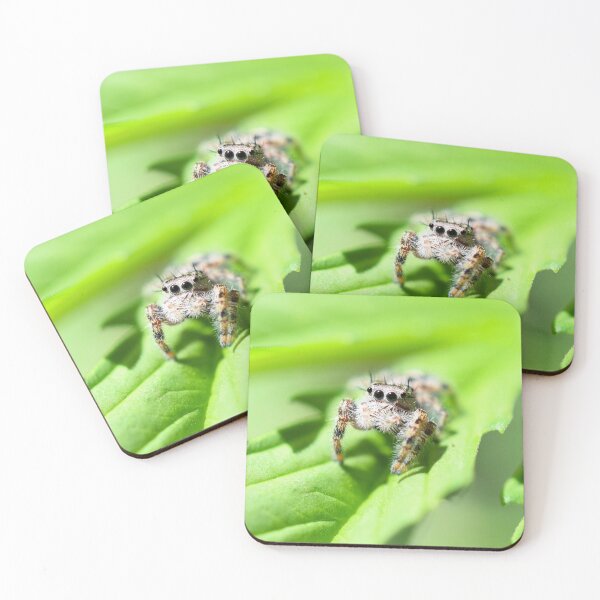 Item preview, Adorable Arachnid designed and sold by DonnaM.