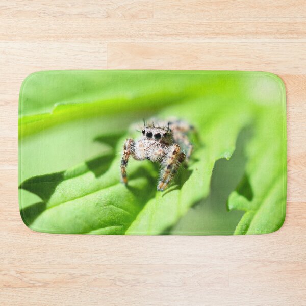 Item preview, Adorable Arachnid designed and sold by DonnaM.