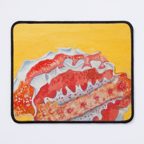 Item preview, coral reef nudibranch designed and sold by Tereza Pilar  Art.