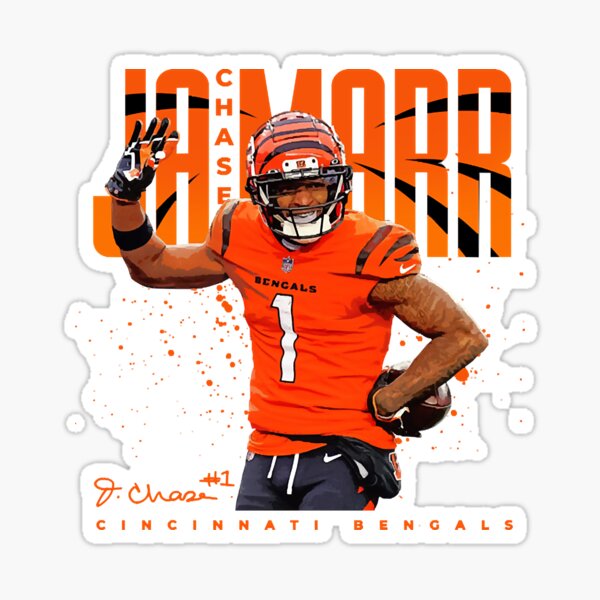 NFL Cincinnati Bengals — Verlander Design