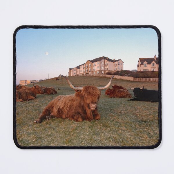 Item preview, Everything Stops for Tee at Brora Golf Course! designed and sold by sandysshoots.
