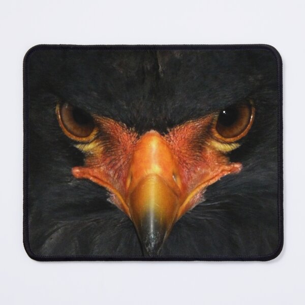 Item preview, Bateleur (Terathopius ecaudatus) designed and sold by Yampimon.