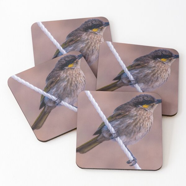 Item preview, Wren at Streaky Bay designed and sold by indiafrankk.