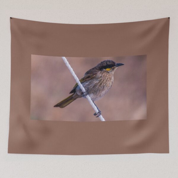 Item preview, Wren at Streaky Bay designed and sold by indiafrankk.