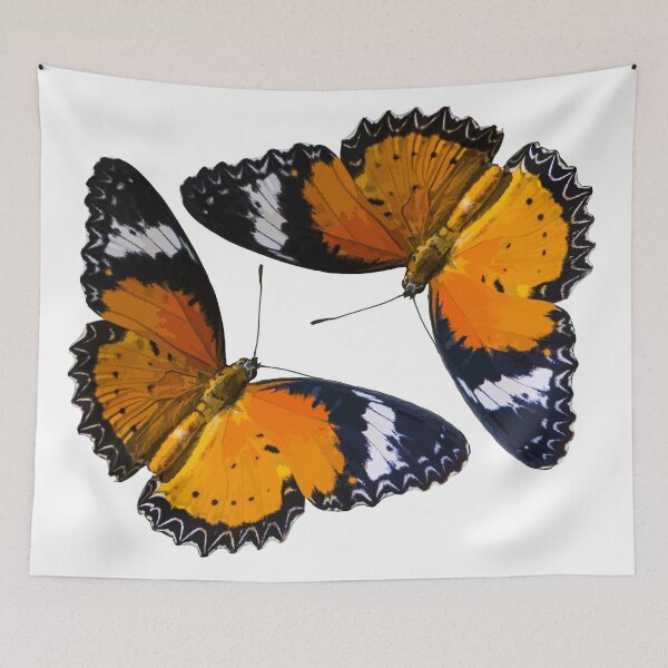 Aperçu de l'œuvre Papillon orange créée et vendue par Pellucid.