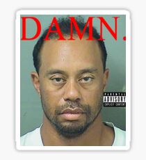 Damn Tiger Sticker