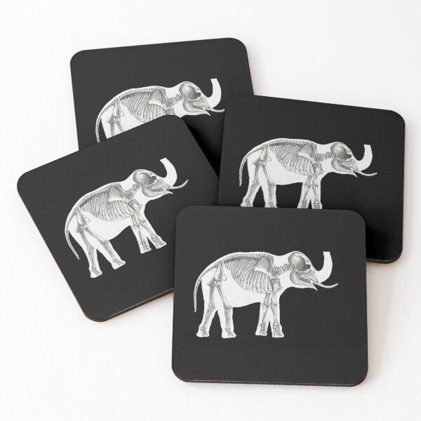 Item preview, Elephant Skeleton Animal Anatomy Sticker designed and sold by addeoovrteqt.