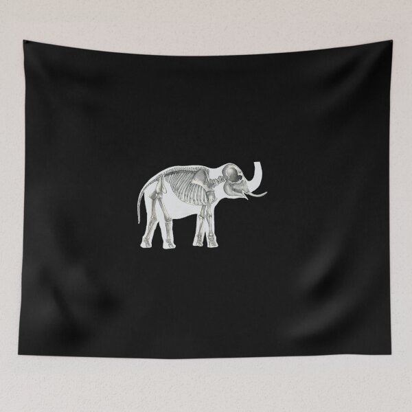 Item preview, Elephant Skeleton Animal Anatomy Sticker designed and sold by addeoovrteqt.