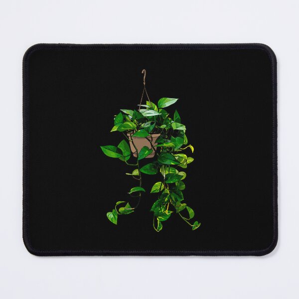 Item preview, Hanging Pothos Plant designed and sold by WalkerPoppy.