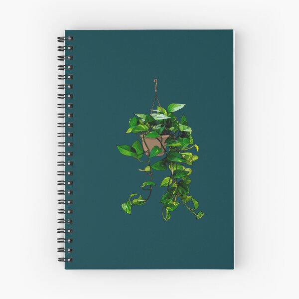 Item preview, Hanging Pothos Plant  designed and sold by WalkerPoppy.