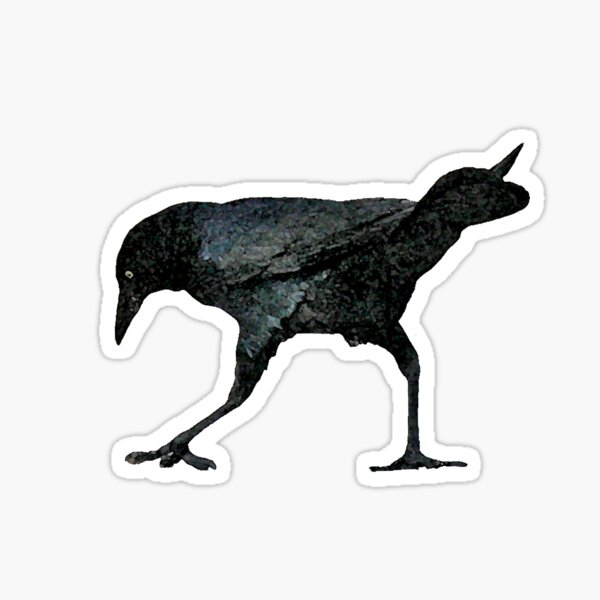Crow Search Sticker