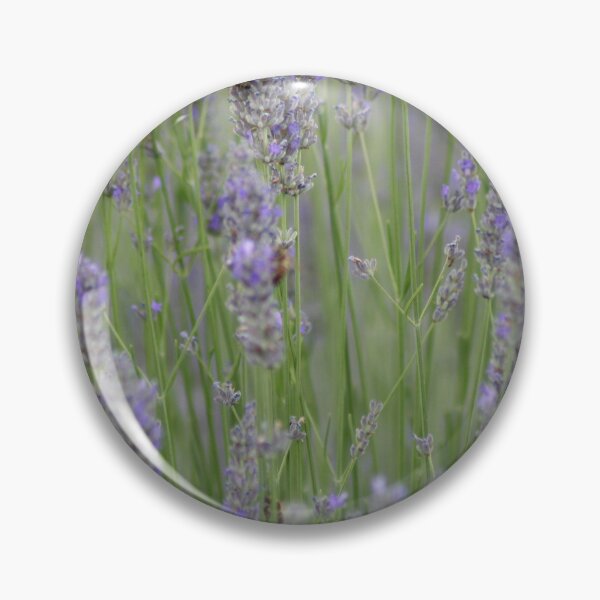 Item preview, A Blur Of Beautiful Lavender Flowers Photograph designed and sold by taiche.