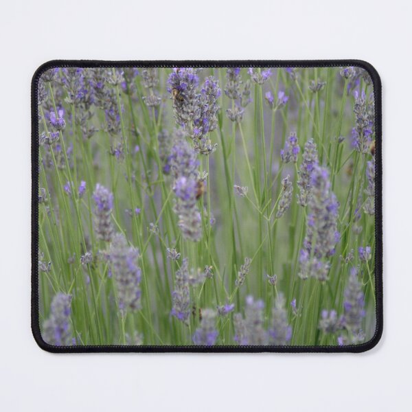 Item preview, A Blur Of Beautiful Lavender Flowers Photograph designed and sold by taiche.