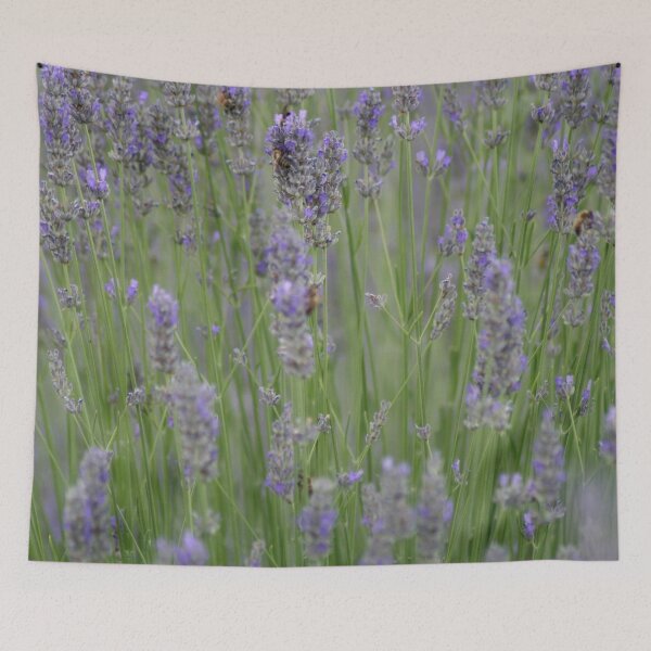 Item preview, A Blur Of Beautiful Lavender Flowers Photograph designed and sold by taiche.