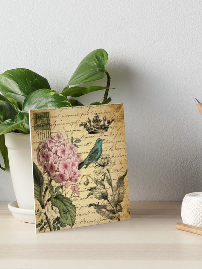 Lámina rígida «vintage botánica hortensia floral arte botánico» de lfang77  | Redbubble