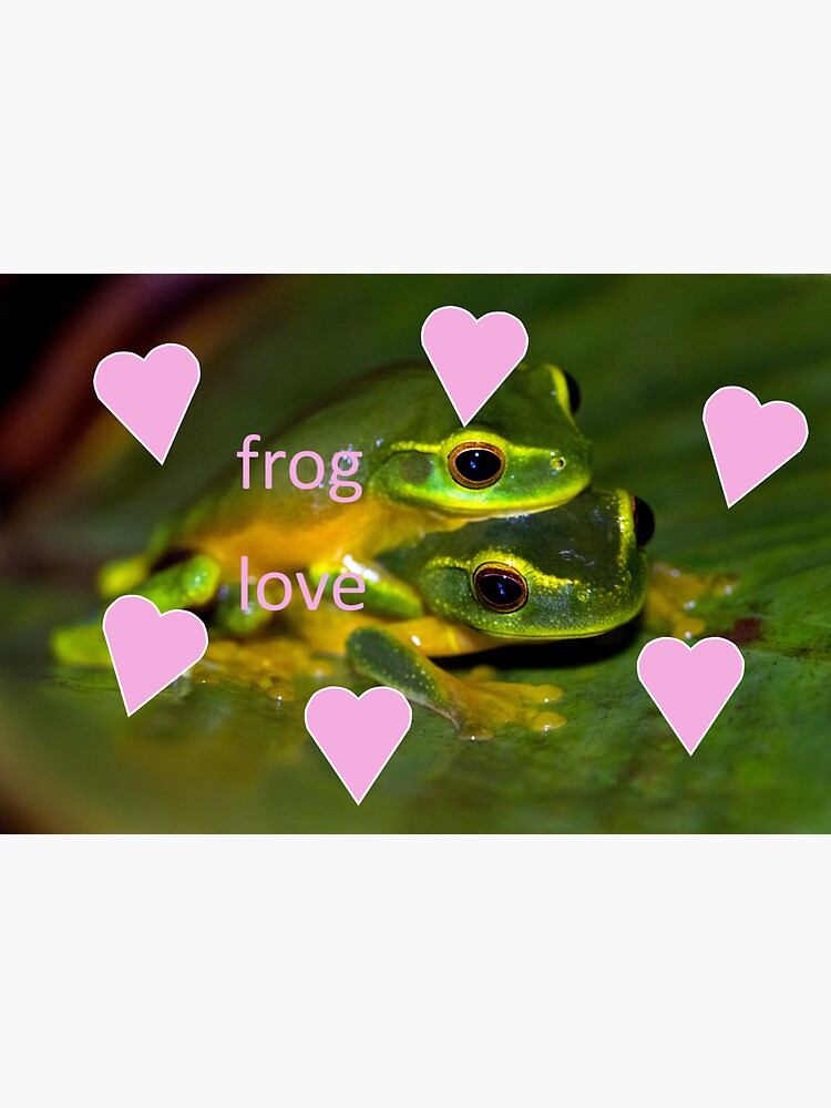"Frog Love" Sticker for Sale by aiReady Redbubble