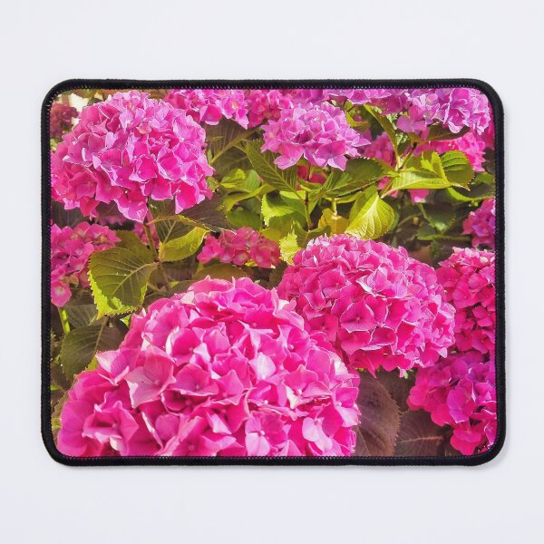 Item preview, Bloom Power designed and sold by Picsbylols.