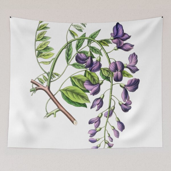 Item preview, FF - Annales de la Société royale d'agriculture et de botanique de Gand - Wisteria  designed and sold by imageresource.