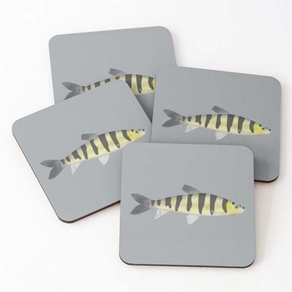 Item preview, Banded Leporinus designed and sold by fishfolkart.