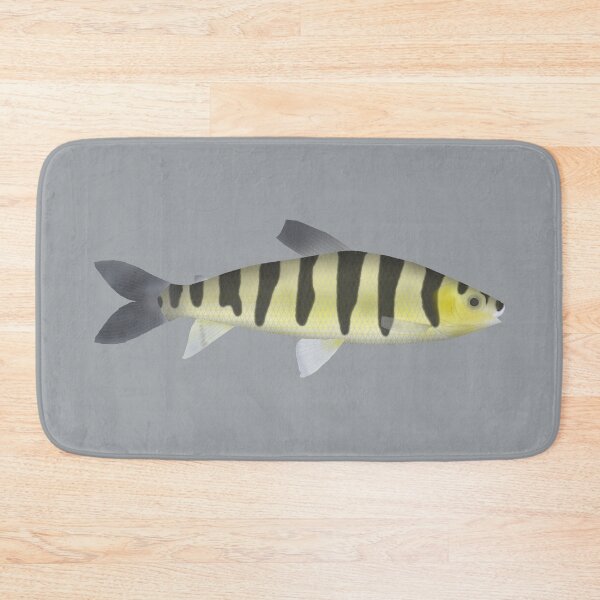 Item preview, Banded Leporinus designed and sold by fishfolkart.