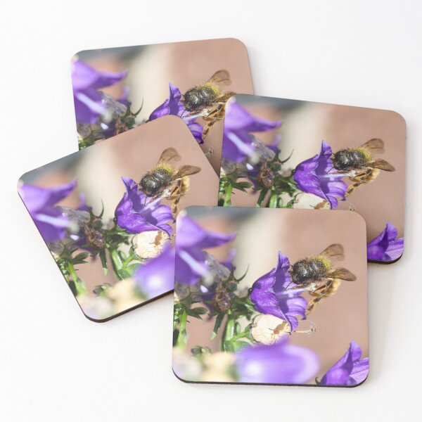 Item preview, Mason bee on campanula flowers designed and sold by GreyFeatherPhot.