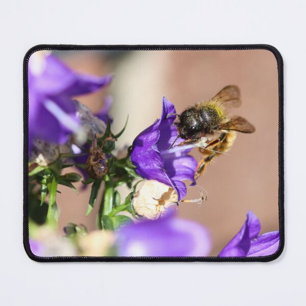Item preview, Mason bee on campanula flowers designed and sold by GreyFeatherPhot.
